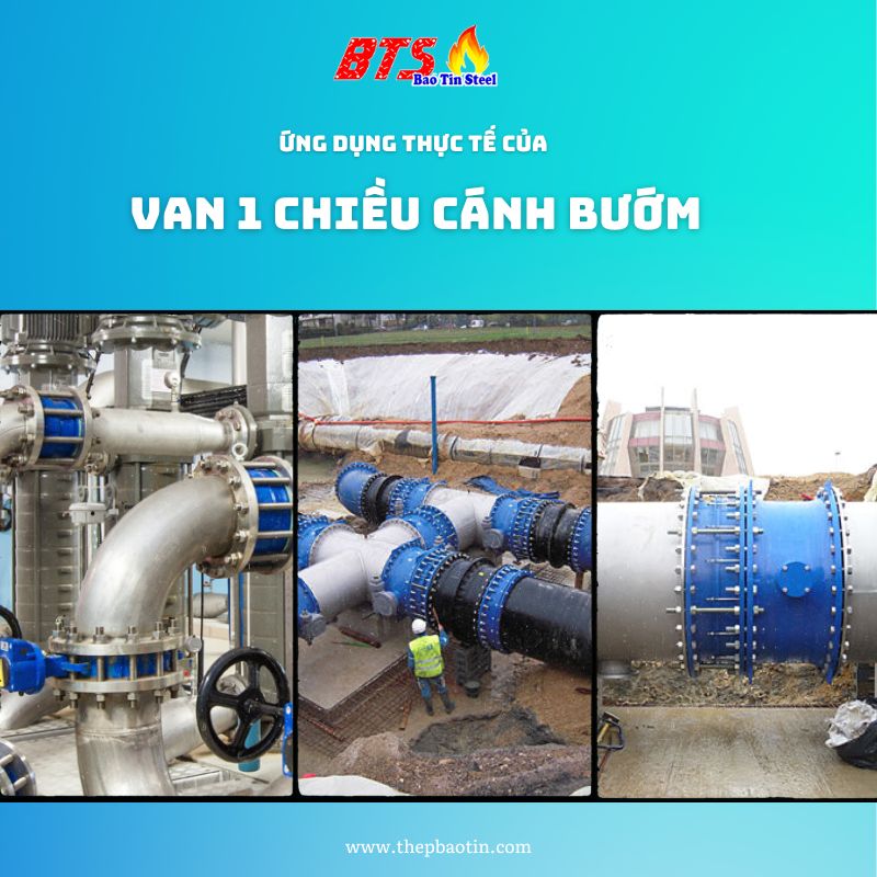 ung-dung-cua-van-1-chieu-canh-buom