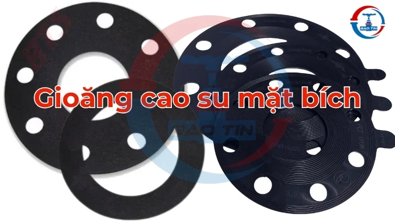 Các loại gioăng cao su mặt bích