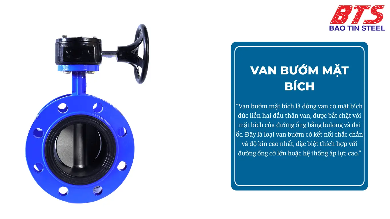 Van bướm mặt bích